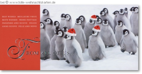 Witzige Weihnachtskarten mit Pinguinen: 