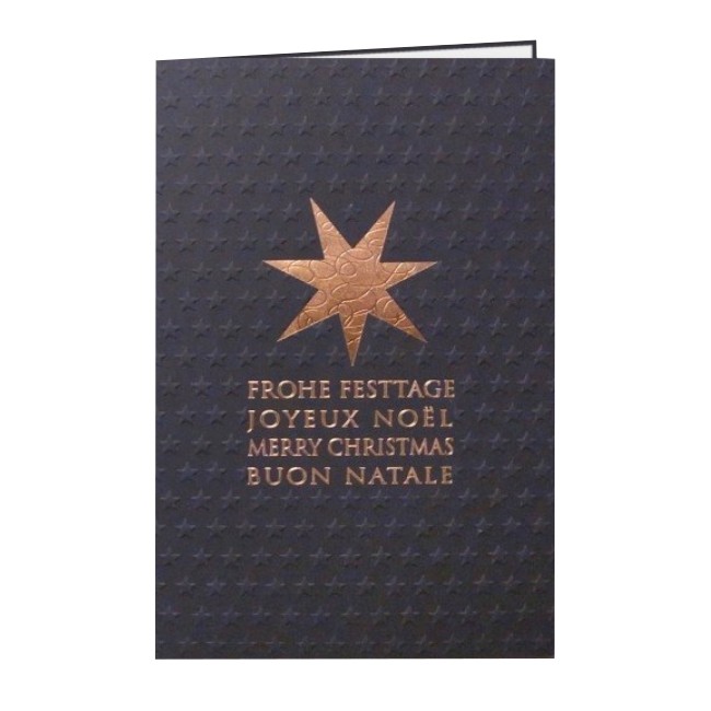Edle Weihnachtskarte Mit Gepragten Sternen