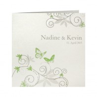 Schmetterlinge - 100069